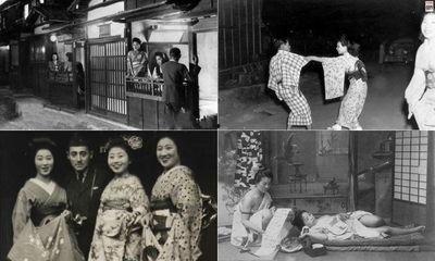 全国色情日本,日本视角下的暗流涌动