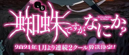 连之月在线播放版,穿越时空的浪漫传奇