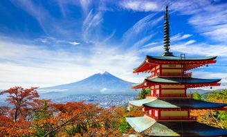 日本caribbean官网,尽享热带风情之旅