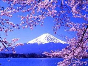 日本上条南,上条南生成