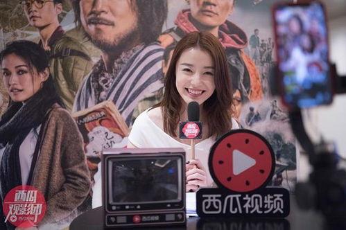 av免费票 西瓜影音,免费观影背后的秘密