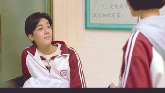 少年不戴花在线播放,青春校园的青春旋律