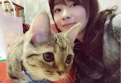 日本女星小猫,闪耀银幕的璀璨星辉