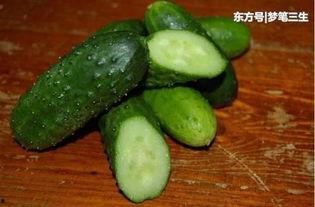 天津中医药大学网红吃瓜,揭秘天津中医药大学校园美食风云