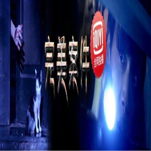 完美案件在线观看免费,免费在线观看，揭秘悬疑背后的真相