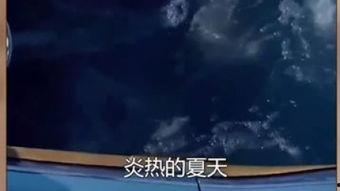 炎热的视频,视频带你感受酷热瞬间