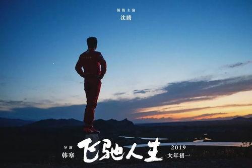 飞驰人生百合免费观看,百合免费观看，激情赛道上的热血青春