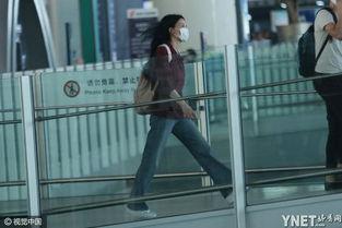 明星在机场的视频