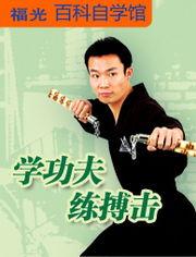 学练功夫视频,揭秘传统武术精髓与实战技巧