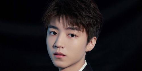 圈内爆料王俊凯刘诗诗,圈内爆料引热议