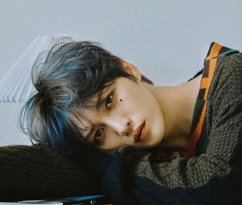 日本发展的韩国艺人,文化交融下的璀璨星途