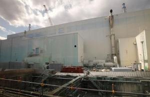 日本福岛核电站影响范围,影响范围与长期后果概述”