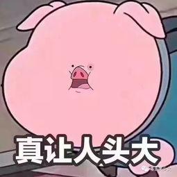 吃瓜群众贴吧微博,贴吧微博上的热门话题盘点