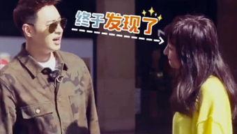 吃瓜 瓜农 娱乐圈,瓜农视角下的娱乐圈风云录