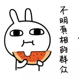 娱乐吃瓜酱拖延,揭秘拖延背后的秘密与应对策略