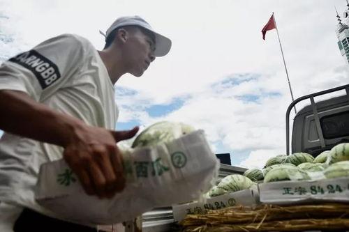 吃瓜群众的视频